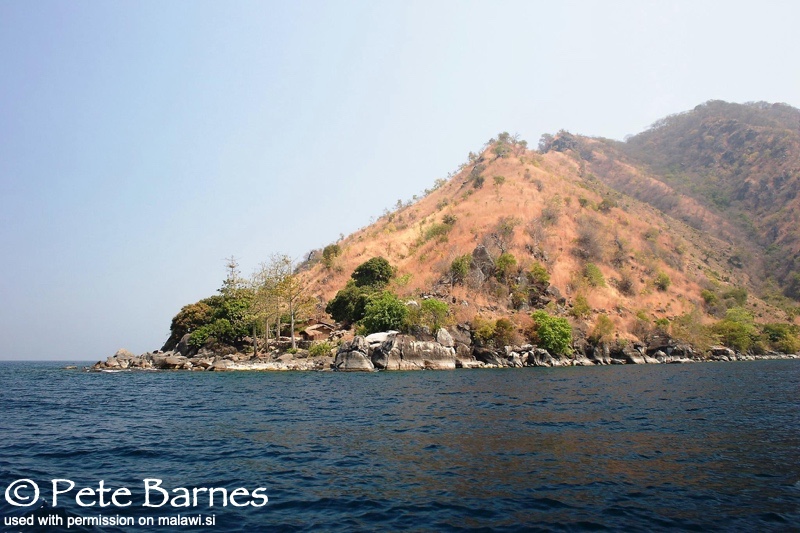 Lion's Cove 06
